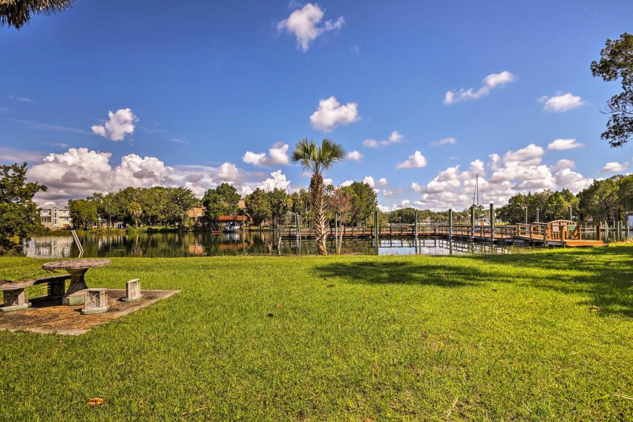 Crystal River House Scalloping And Dock, Gulf 7 Mi! Extérieur photo